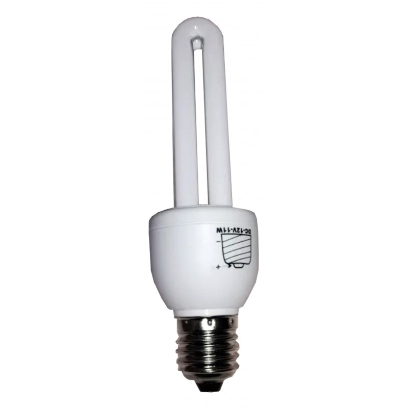 C-0175    Lampe basse consommation 21W - 12V