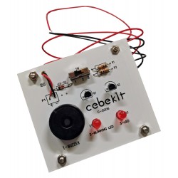 C-0206  Electronic module...