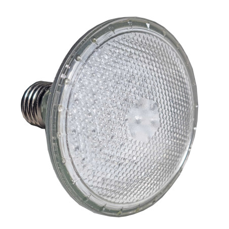 C-0851BC  LED LAMP PAR-30  (Web only sales)