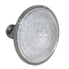 C-0851BC  LED LAMP PAR-30  (Web only sales)